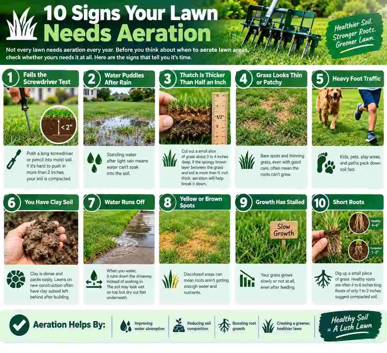 Signs your lawn needs aeration